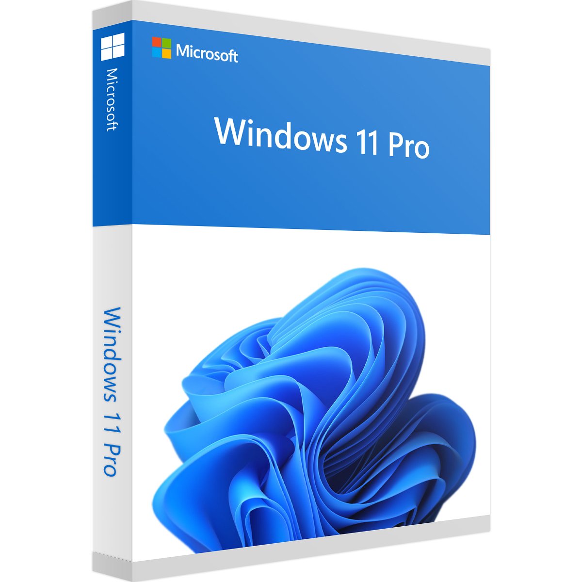 Windows 11 Pro (Süresiz Garanti)