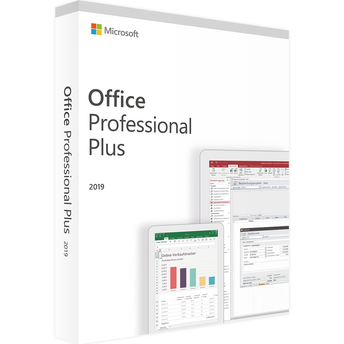 Microsoft Office 2019 Professional Plus (Bind Taşınabilir Lisans)