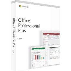 Microsoft Office 2019 Professional Plus (Bind Taşınabilir Lisans)